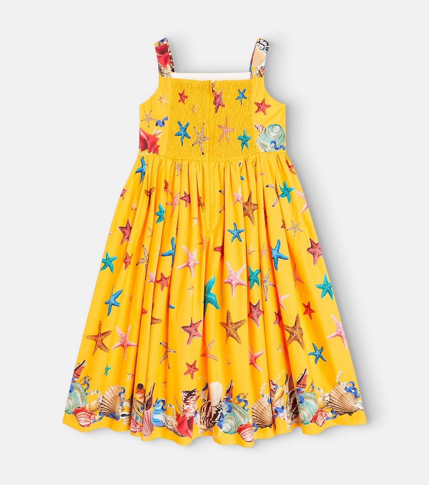 Capri printed cotton poplin dress