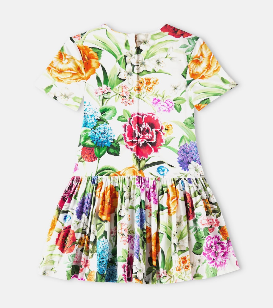 Floral cotton poplin dress