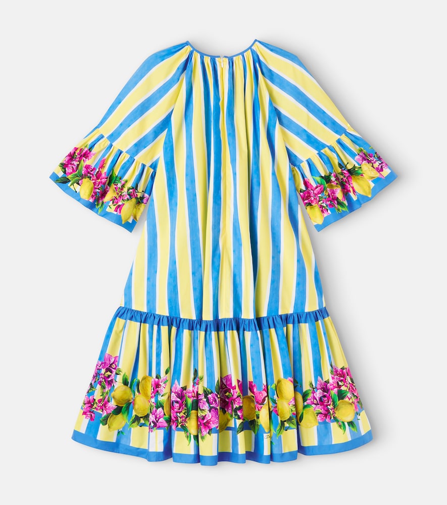 Taormina floral striped cotton dress