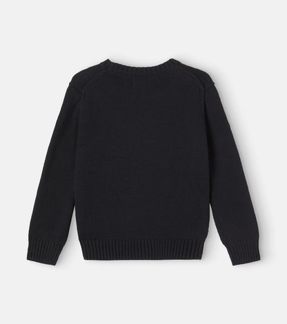 Polo Bear intarsia cotton sweater