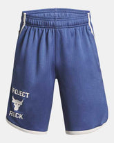 Project Rock Mesh