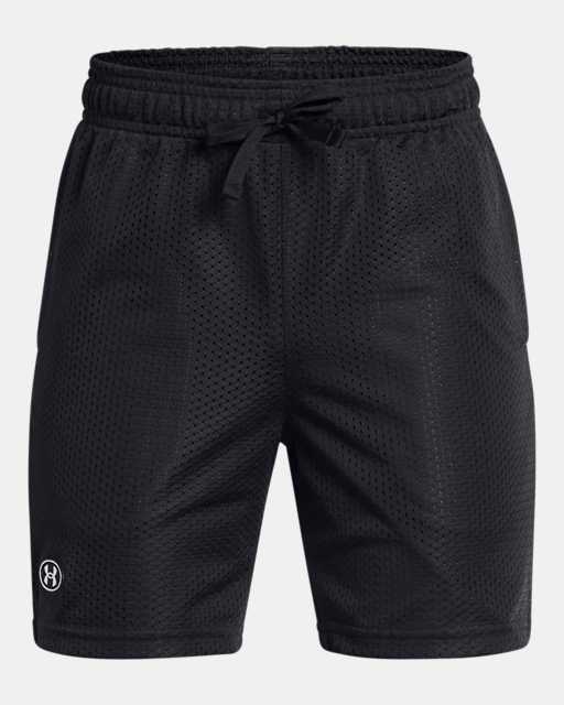 UA Icon Mesh