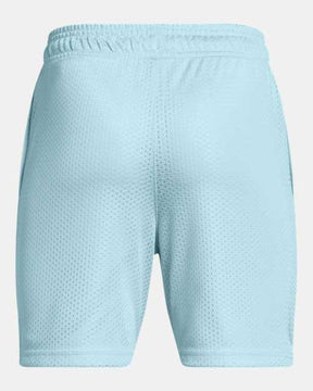 UA Icon Mesh