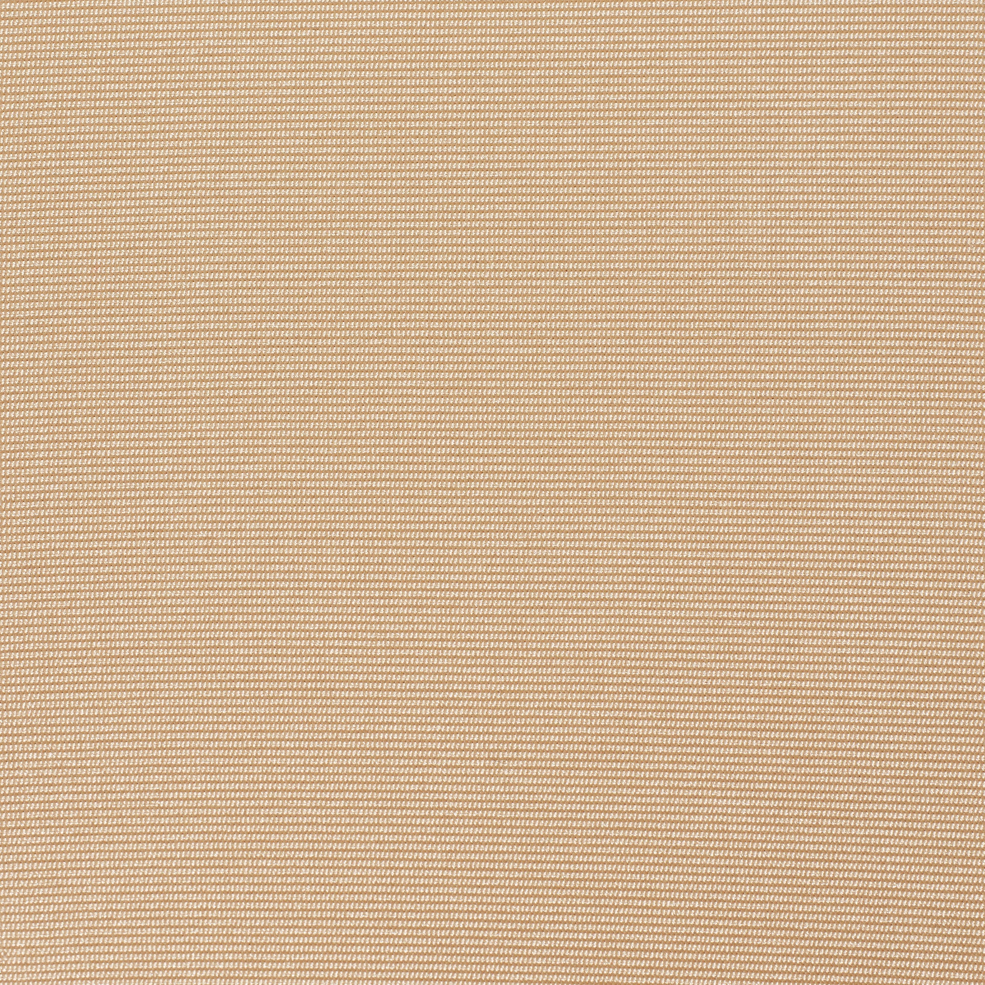 SKIMS BODY CORE SCULPT WAIST CINCHER BUTT LIFTING BRIEF | SAND