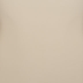 SHEER SEAMLESS BODYSUIT | SAND