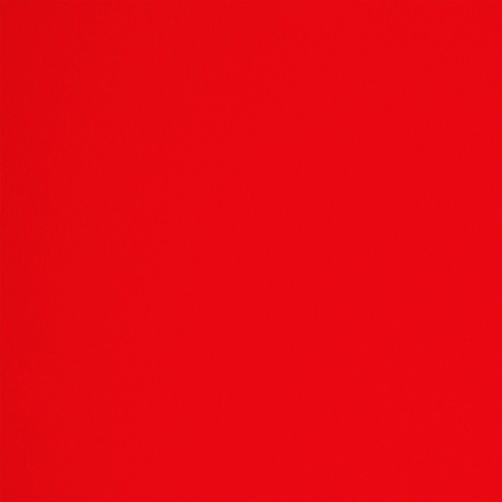 FITS EVERYBODY LACE LONG SLIP DRESS | CAYENNE