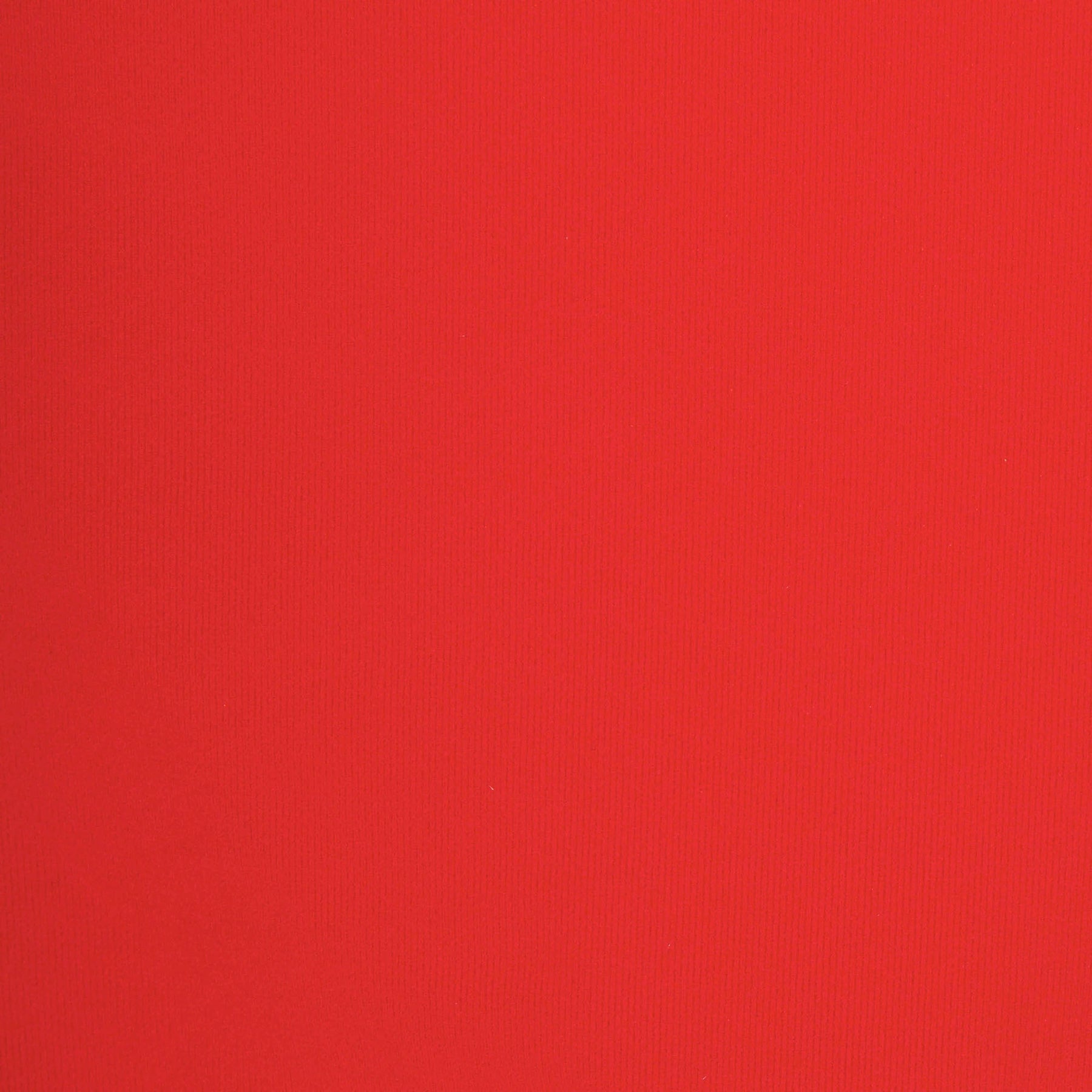 FITS EVERYBODY LACE CAMI BODYSUIT | CAYENNE