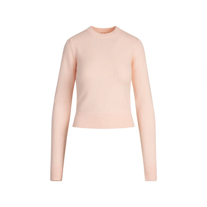 Sweater Knits Ribbed Long Sleeve Fitted Crew Neck