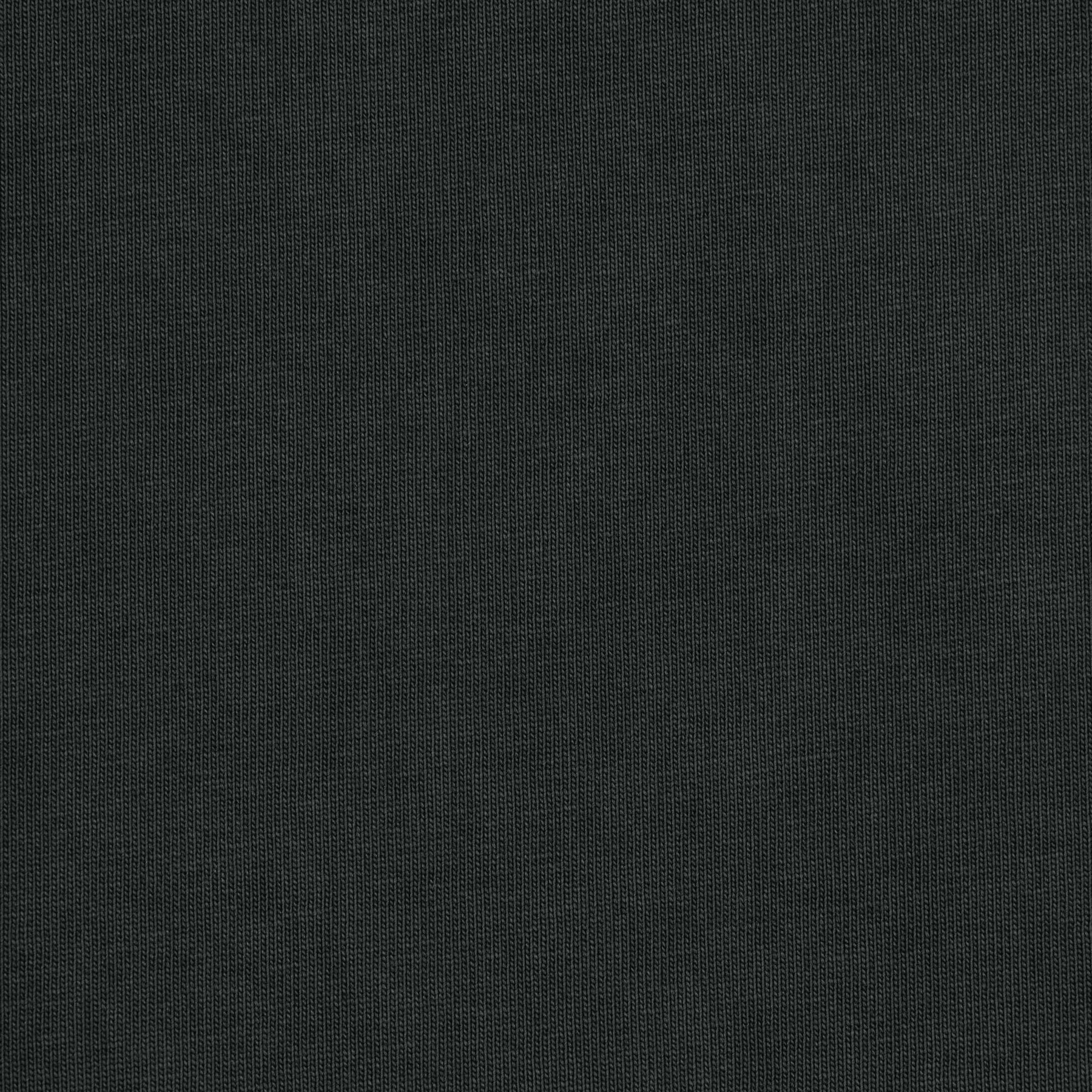 NEW VINTAGE CROPPED LONG SLEEVE T-SHIRT | WASHED ONYX