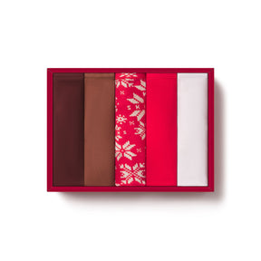 FITS EVERYBODY CHEEKY BRIEF 5-PACK | BRANDY MULTI