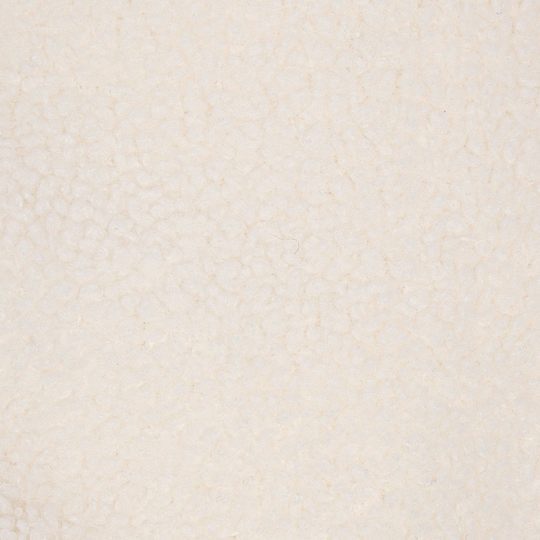 TEDDY BOXY ZIP UP | ECRU