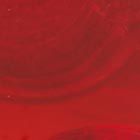 Forest Pop Mushroom Ring