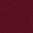 Polo Mini Shift Dress