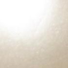 Spade Flower Pearl Drop Earrings