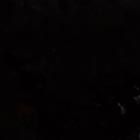 Lover Slingback Kitten Heel