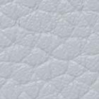Deco Snake Embossed Large Flap Wallet