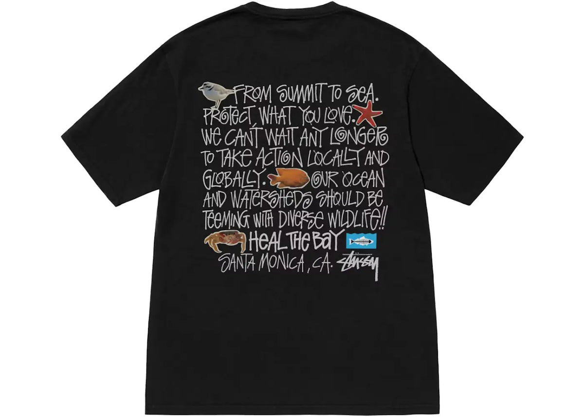 Stussy Heal The Bay Pigment Dyed Summit To Sea Tee Black