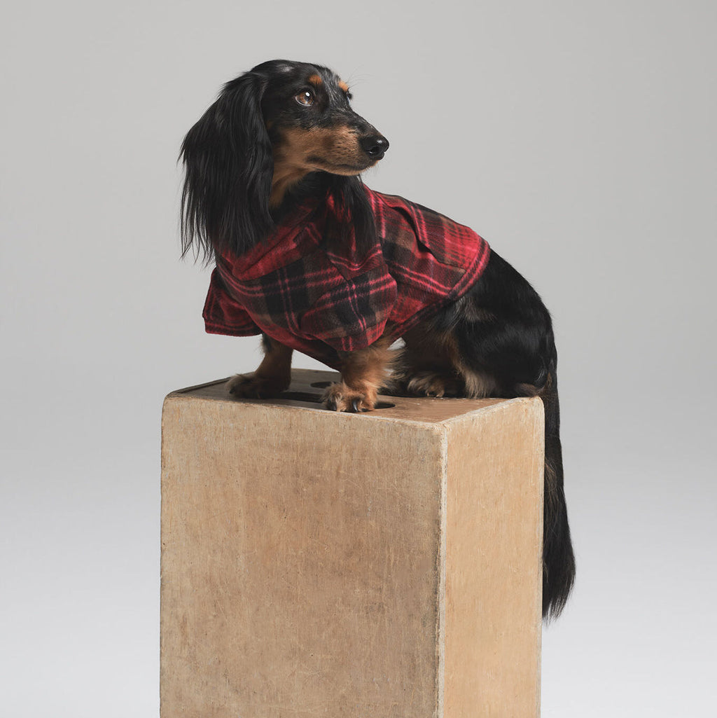 FLEECE SLEEP PET HOODIE | CRANBERRY PLAID