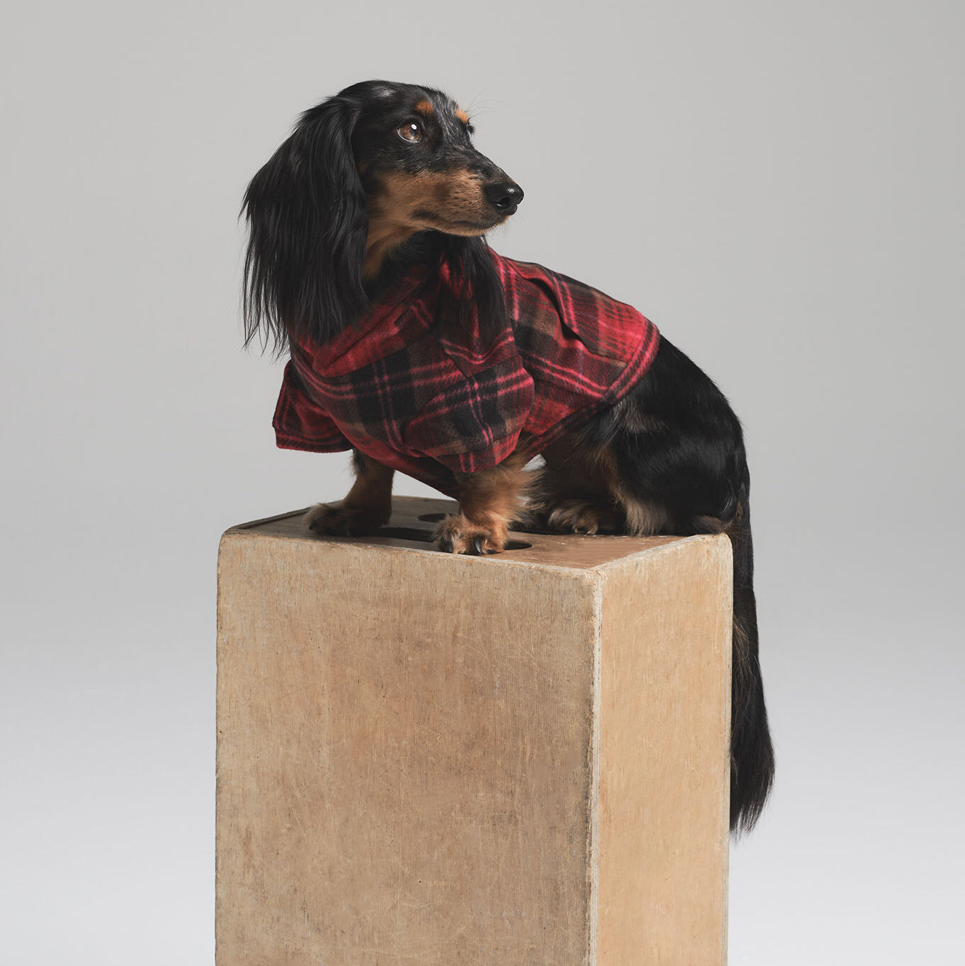 FLEECE SLEEP PET HOODIE | CRANBERRY PLAID