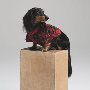 FLEECE SLEEP PET HOODIE | CRANBERRY PLAID
