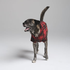 FLEECE SLEEP PET HOODIE | CRANBERRY PLAID