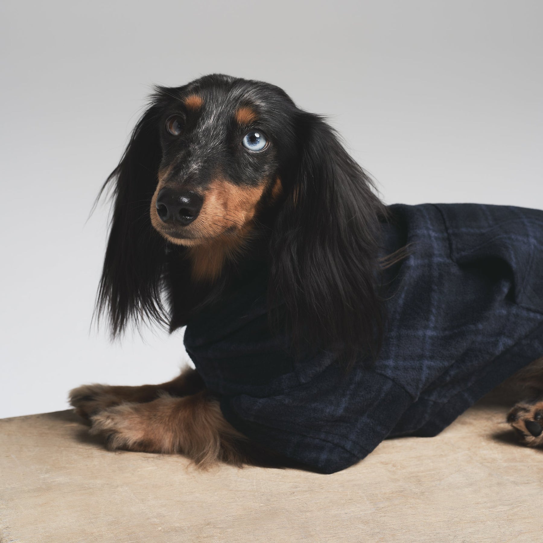 FLEECE SLEEP PET HOODIE | MIDNIGHT BLUE PLAID