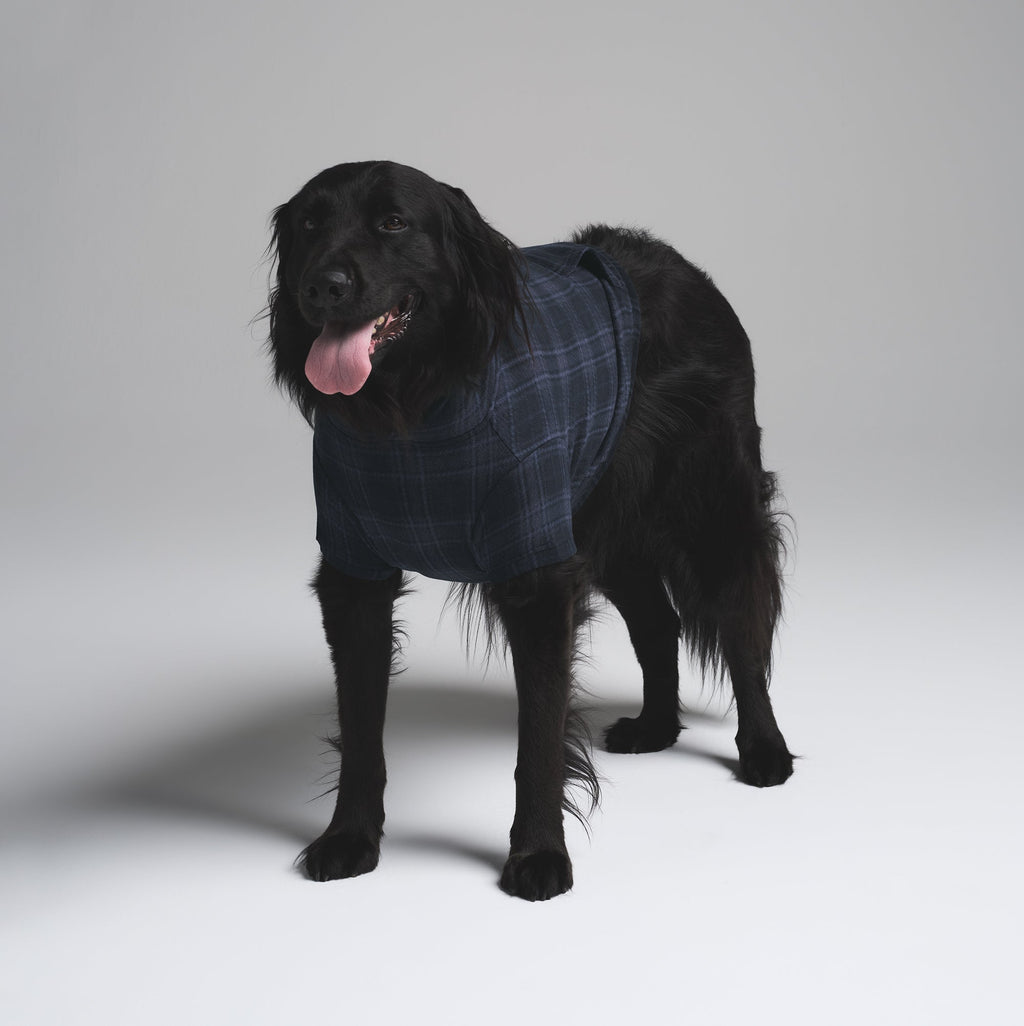 FLEECE SLEEP PET HOODIE | MIDNIGHT BLUE PLAID
