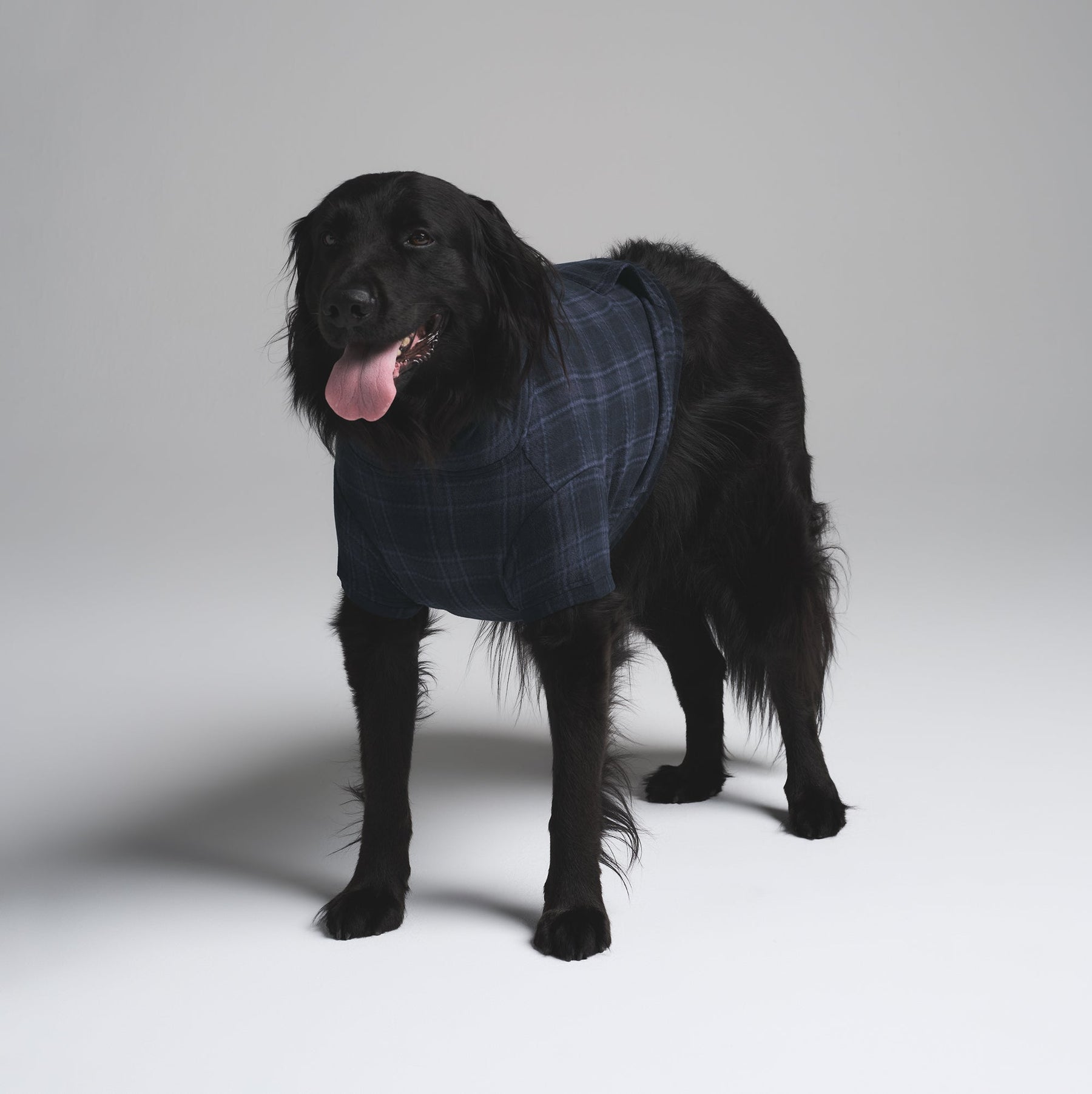 FLEECE SLEEP PET HOODIE | MIDNIGHT BLUE PLAID