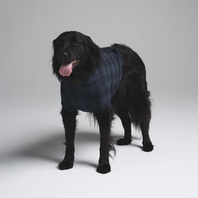 FLEECE SLEEP PET HOODIE | MIDNIGHT BLUE PLAID