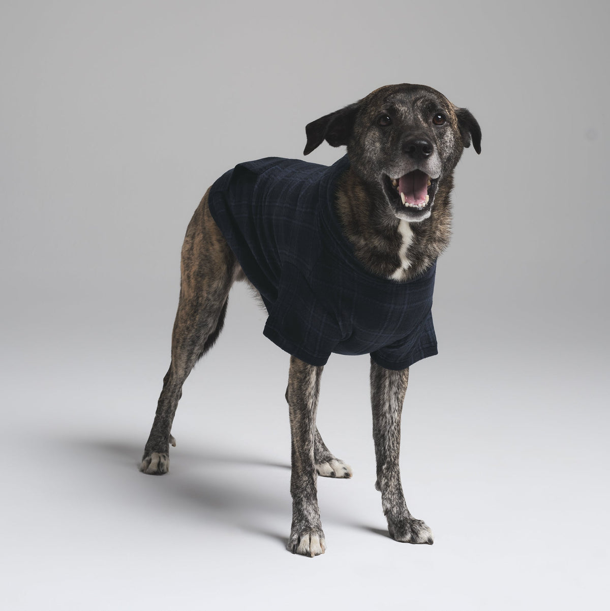 FLEECE SLEEP PET HOODIE | MIDNIGHT BLUE PLAID