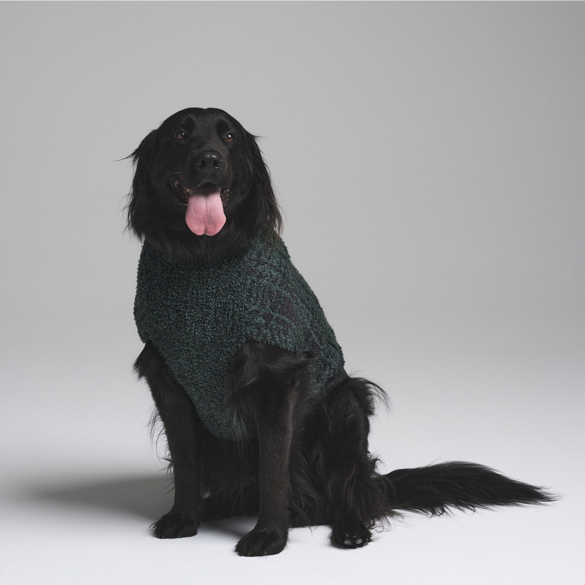 COZY KNIT PET SWEATER | CYPRESS PLAID