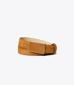 Plate Belt
