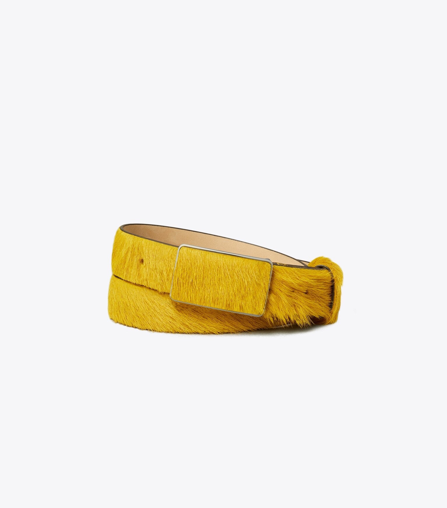 Plate Belt