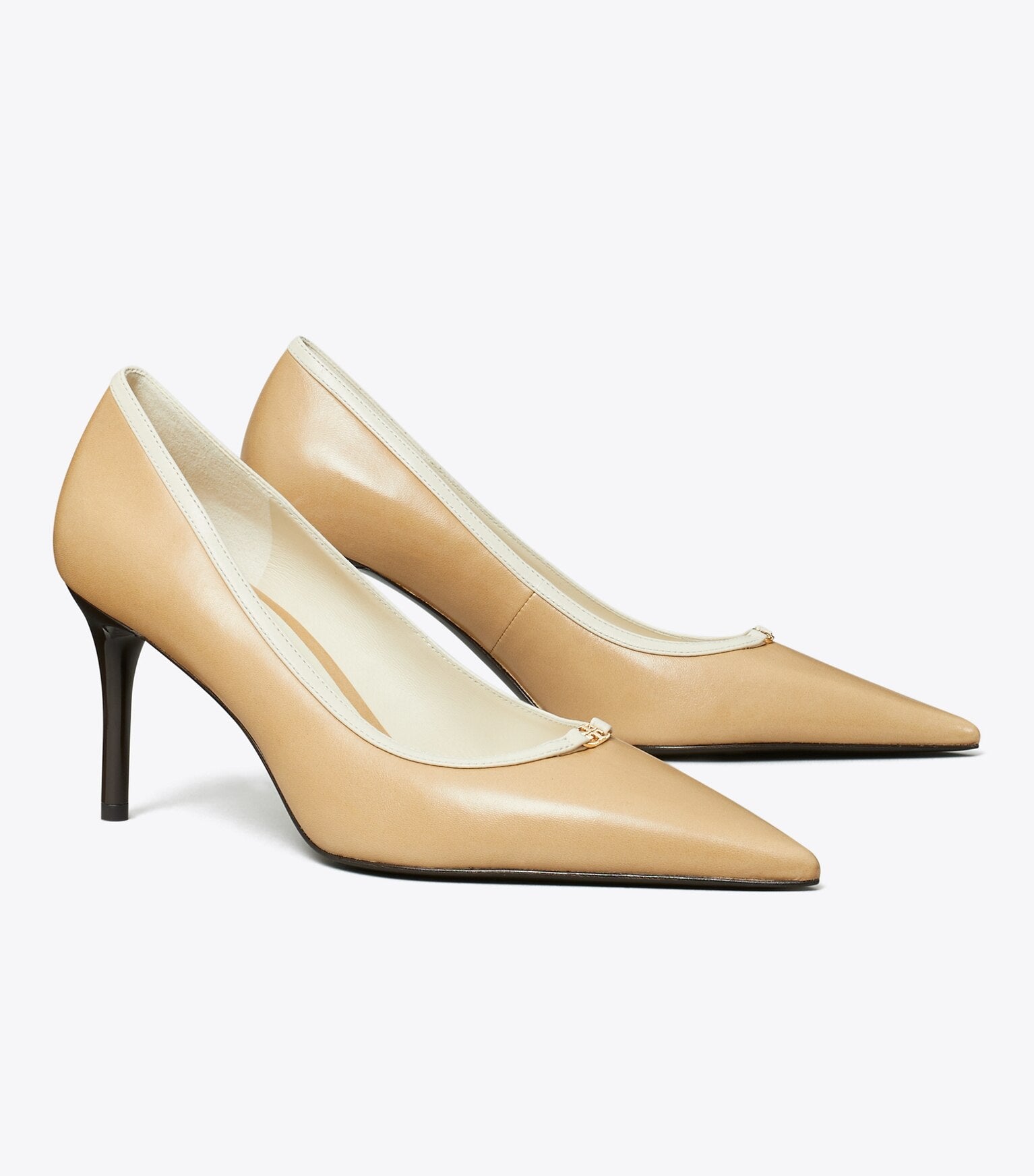 Double T Buckle Pump — Part 2