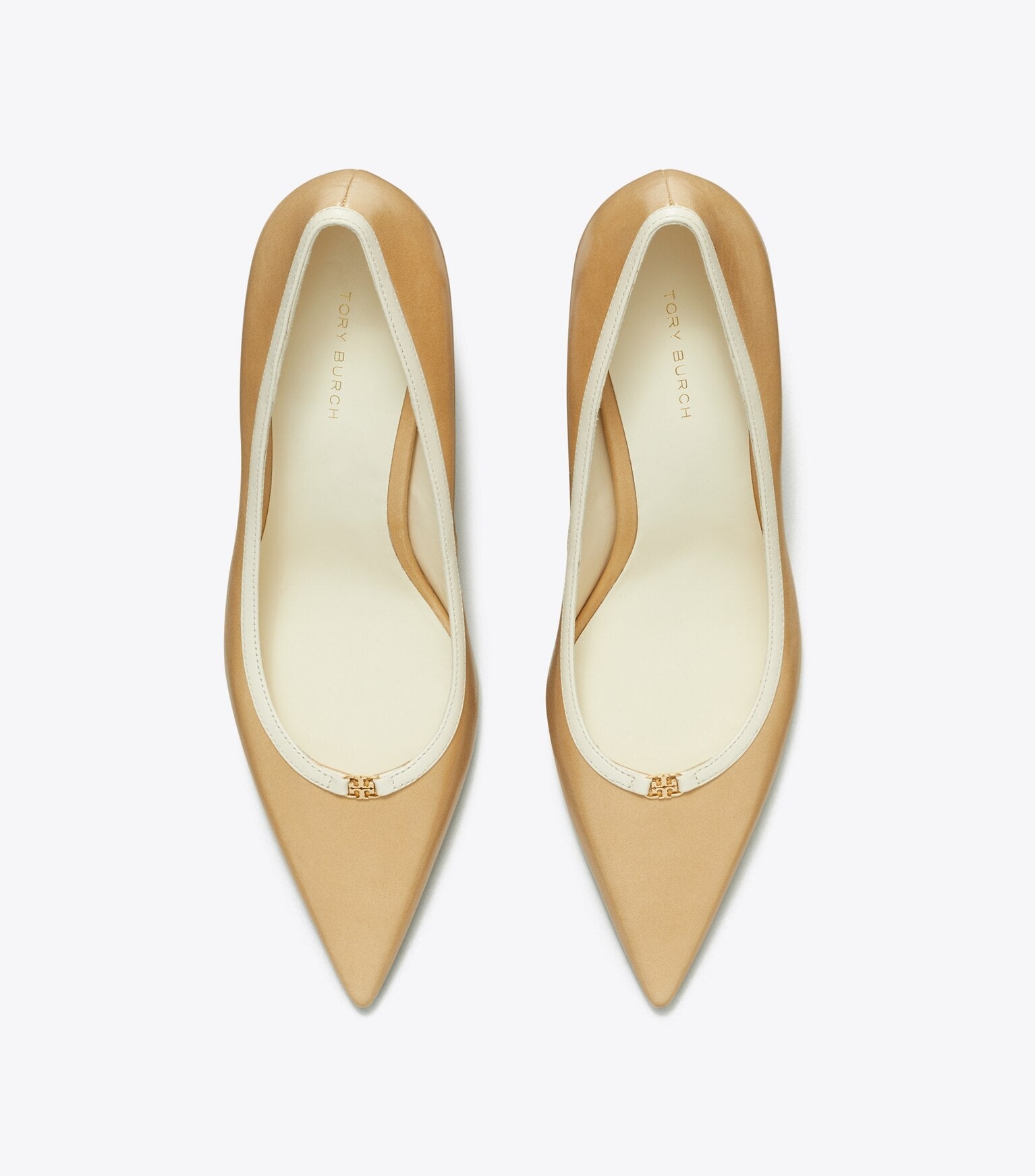 Double T Buckle Pump — Part 2