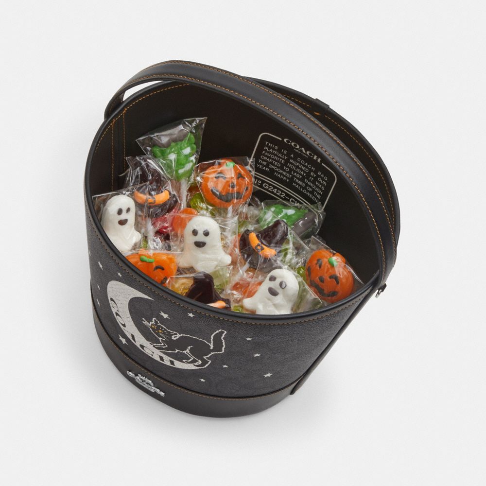 Trick Or Treat Bucket With Halloween Cat In Regenerative Cotton