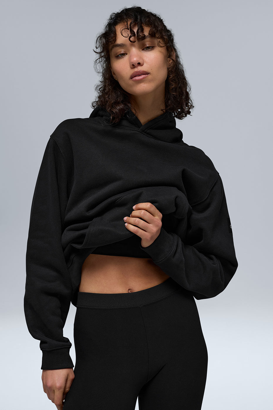 Renown Heavy Weight Hoodie