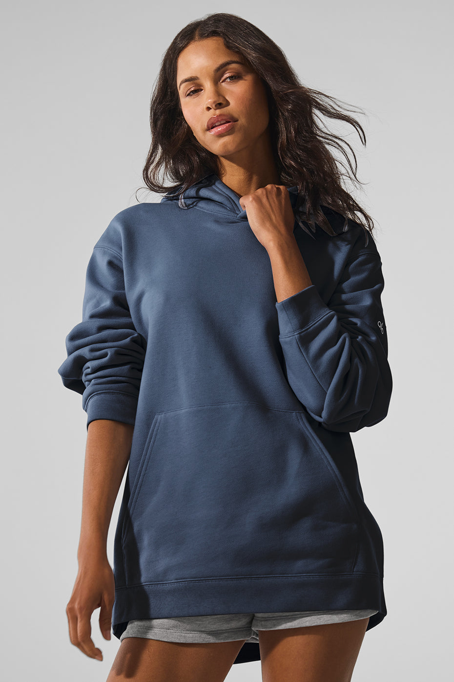 Renown Heavy Weight Hoodie