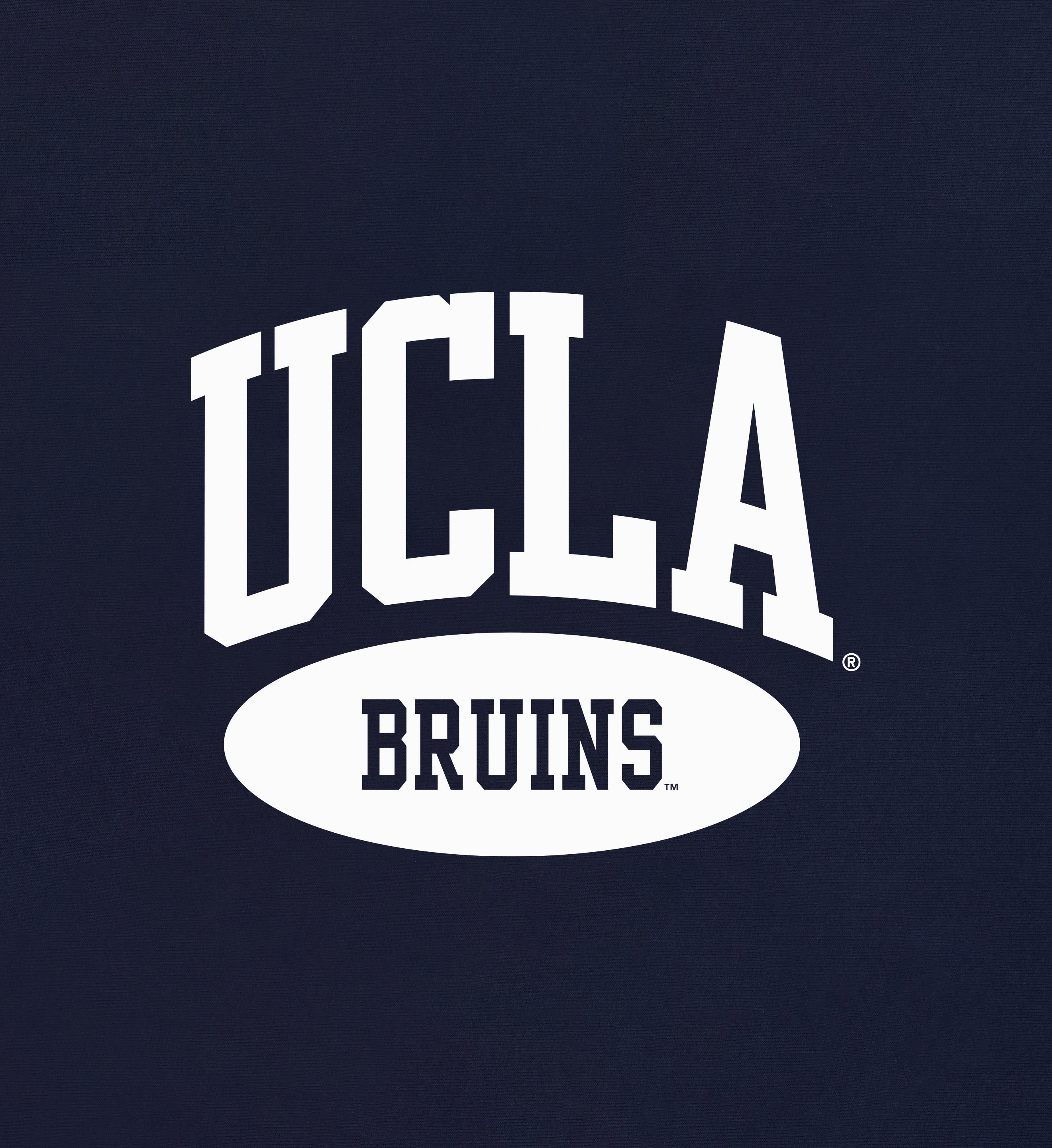 UCLA Crest Hoodie - Navy/White