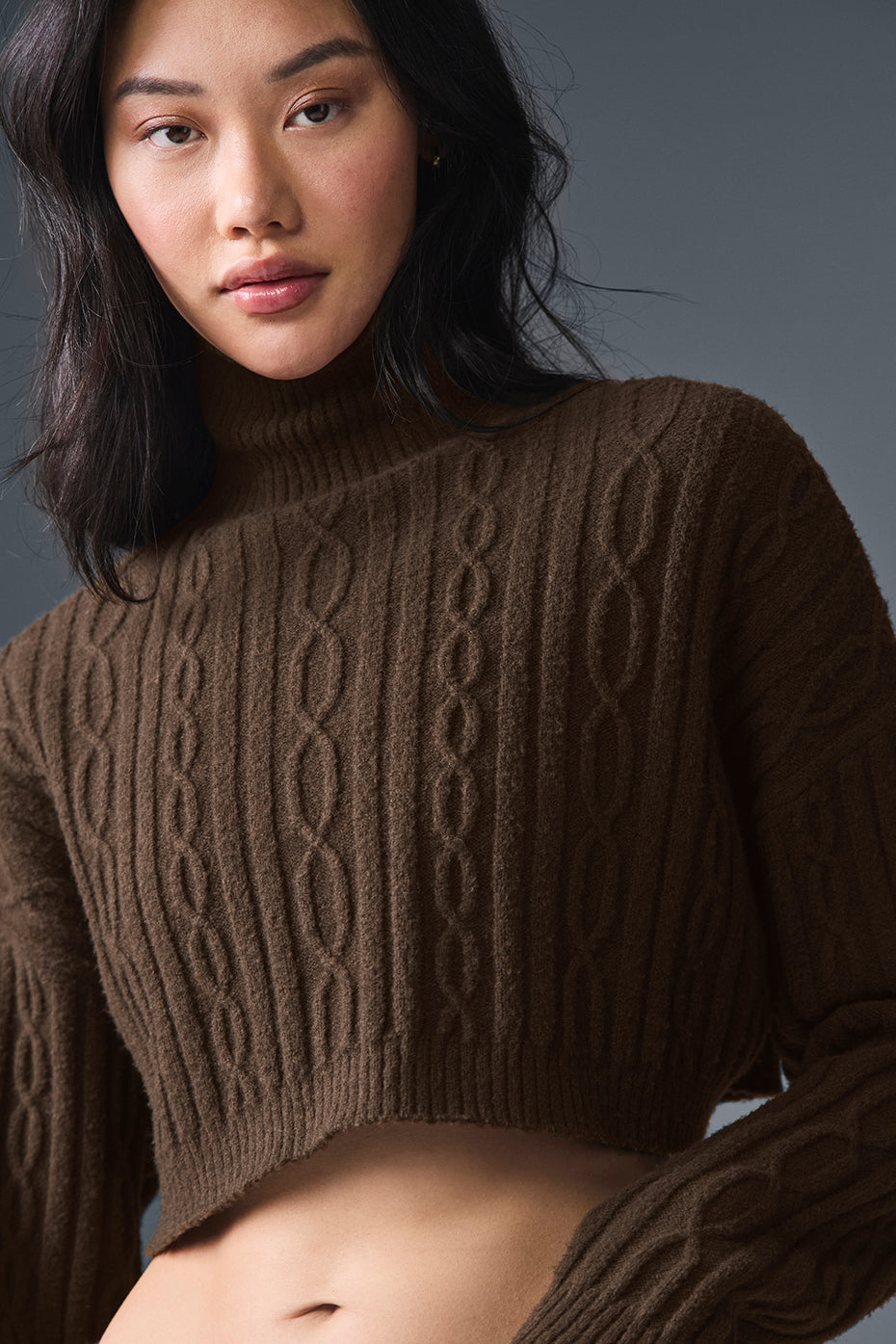 Cable Knit Cropped Winter Bliss Turtleneck Long Sleeve