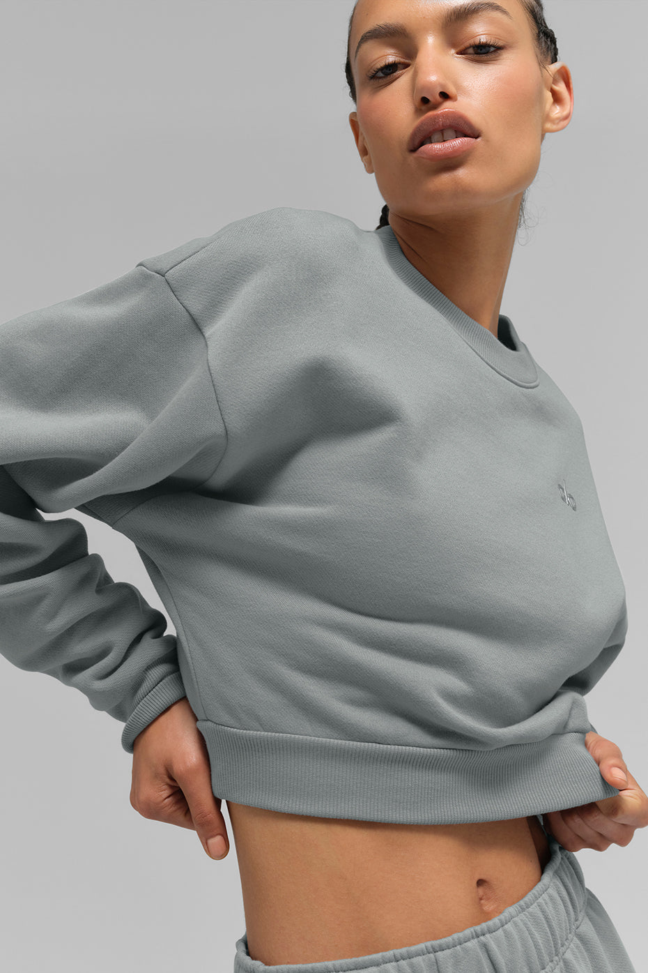 Cropped Accolade Crewneck