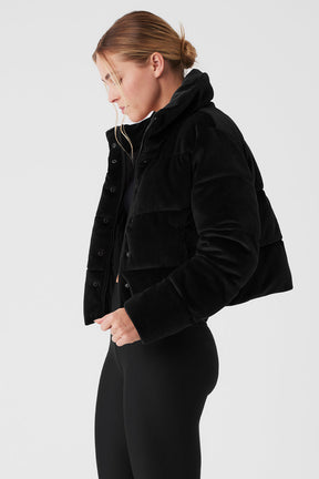 Ribbed Velour Gold Rush Puffer