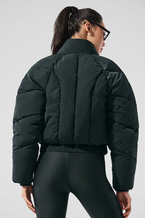 Stargazing Puffer