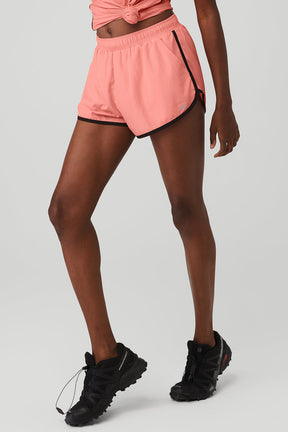 Ivy League Dolphin Short