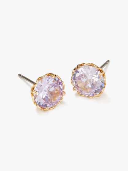 That Sparkle Round Earrings