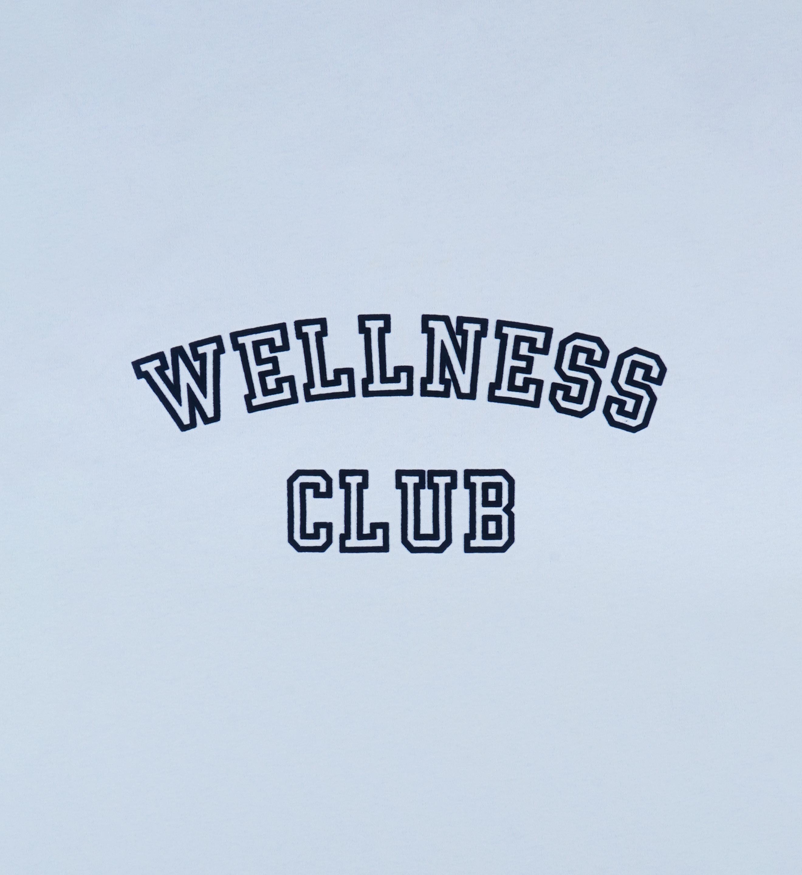Wellness Club Flocked Cropped Tee - Ciel