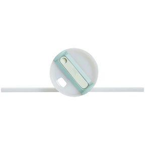 Stanley Tumbler Mug "Seafoam"