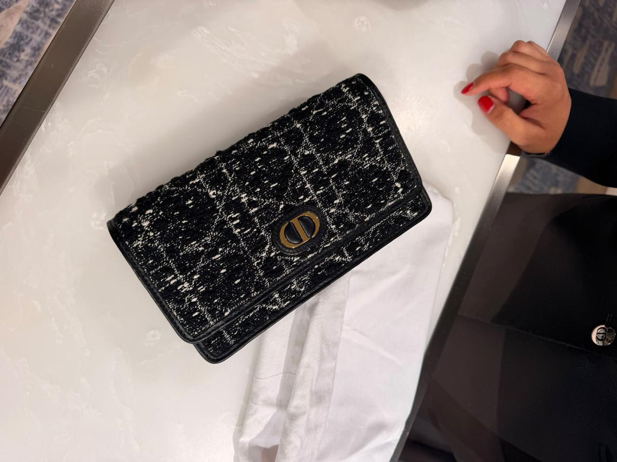 Dior Caro Pouch with Chain