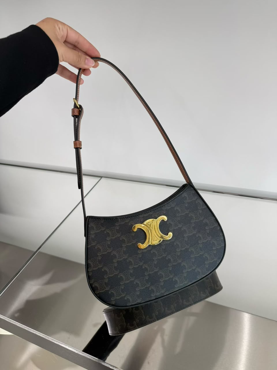 Celine Medium Tilly Bag in Triomphe Canvas and Calfskin
