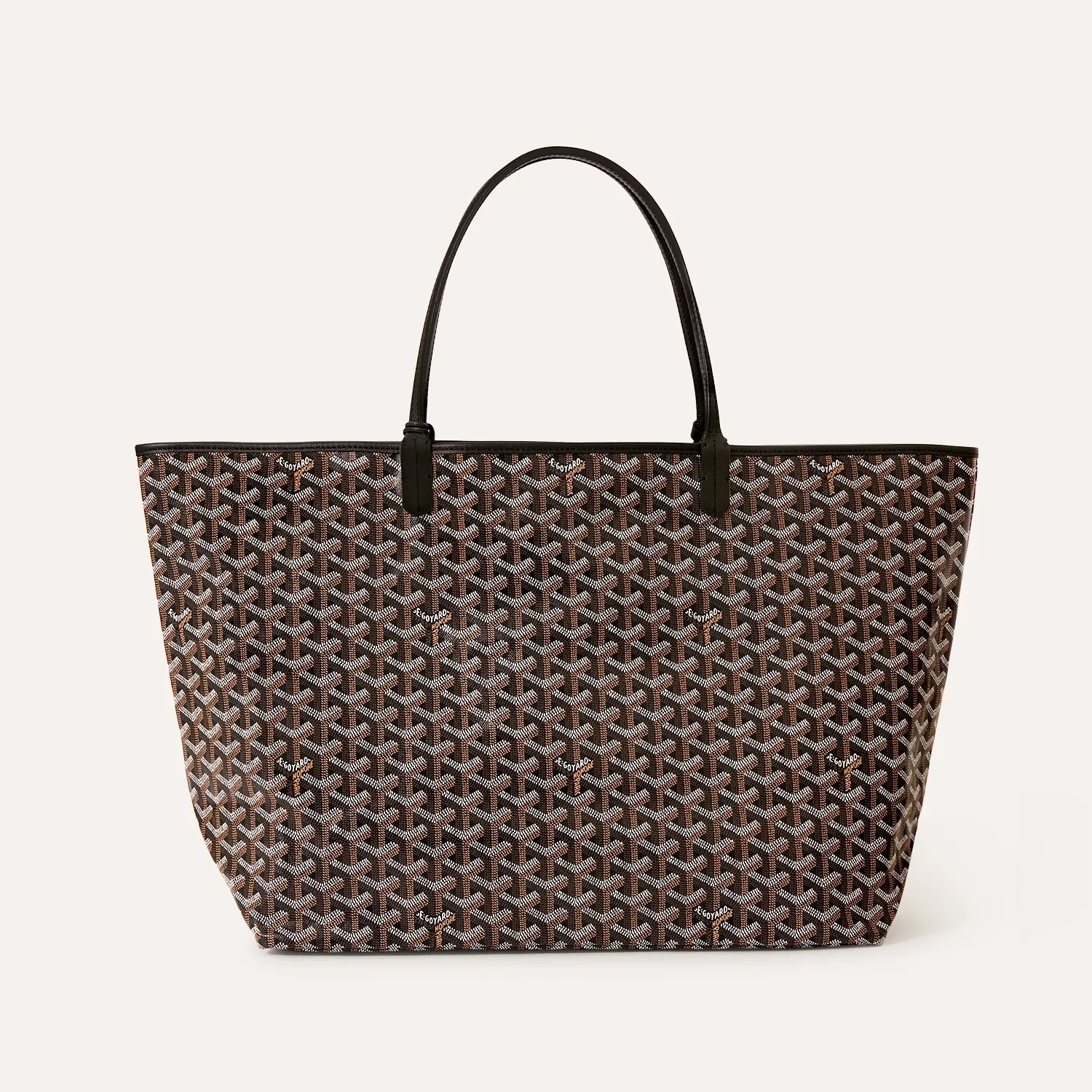 Saint Louis GM Bag